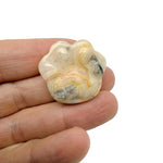 Crazy Lace Agate bear paw crystal carving from GemstoneGO, 30mm, featuring intricate lace patterns and natural gemstone details.